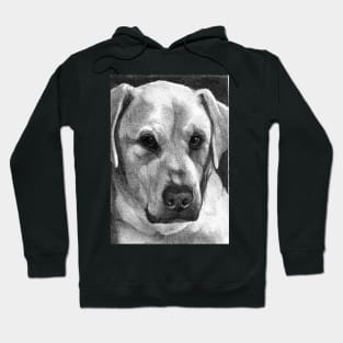 REX Hoodie